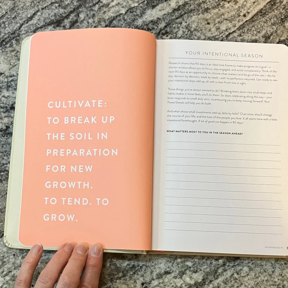 90-Day Powersheets Goal Planner - Natural Linen color